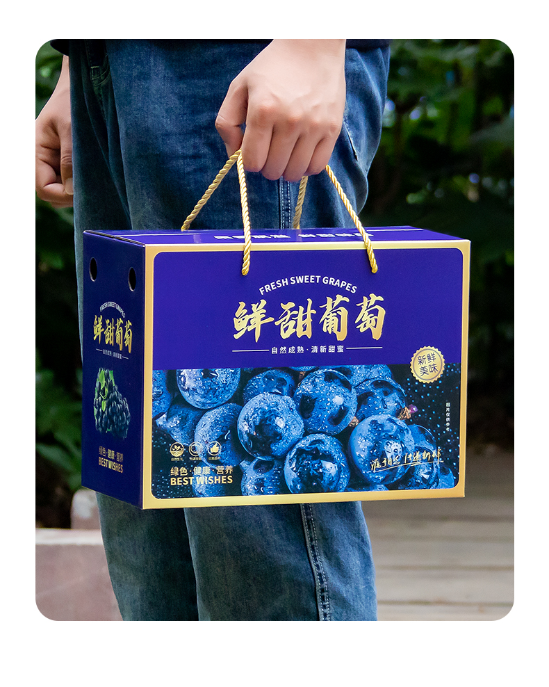 葡萄箱详总_21.jpg